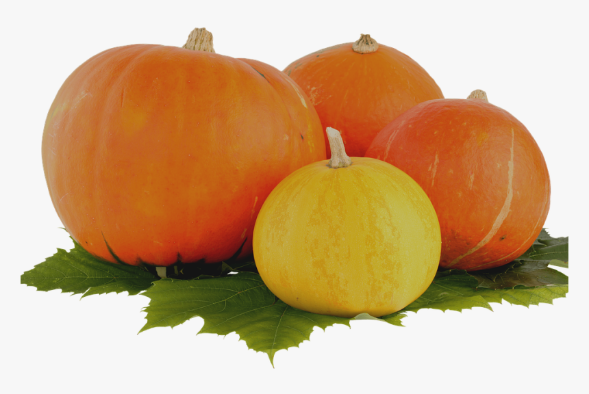 Pumpkin, Thanksgiving, Vegetable, Leaf, Harvest - Transparent Pumpkin, HD Png Download, Free Download