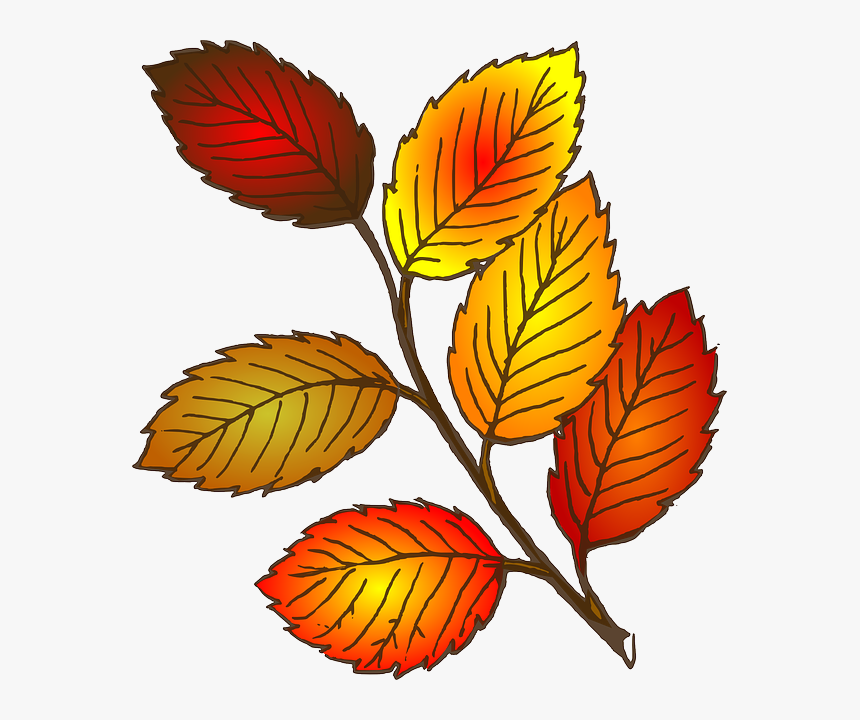 Leaves Pumpkin Leaf Clip Art Free Clipart Images - Leaves Line Art, HD Png Download, Free Download