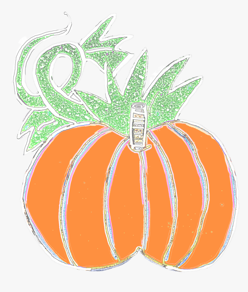 Chubby Pumpkins With Vine To Left And Large Leaf To - Pumpkin, HD Png Download, Free Download