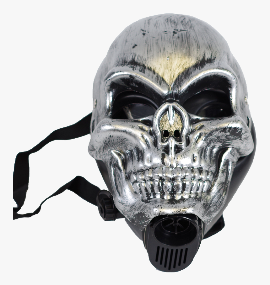 Skull, HD Png Download, Free Download