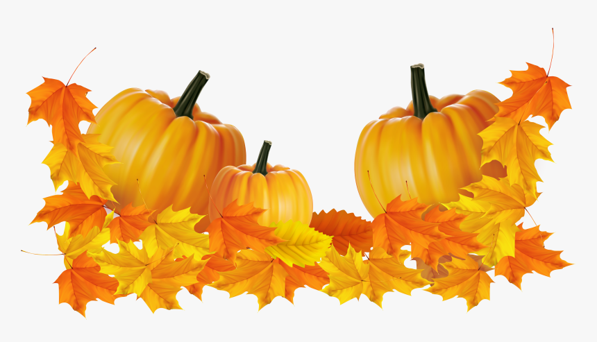 Transparent Background Pumpkin Fall Clipart Transparent, HD Png Download, Free Download
