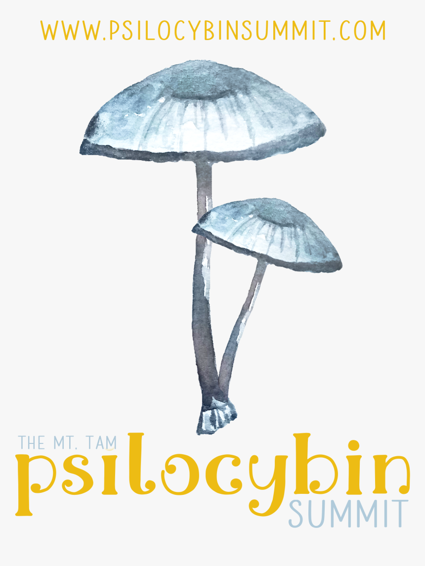 Psilocybin Summit - Agaricus, HD Png Download, Free Download