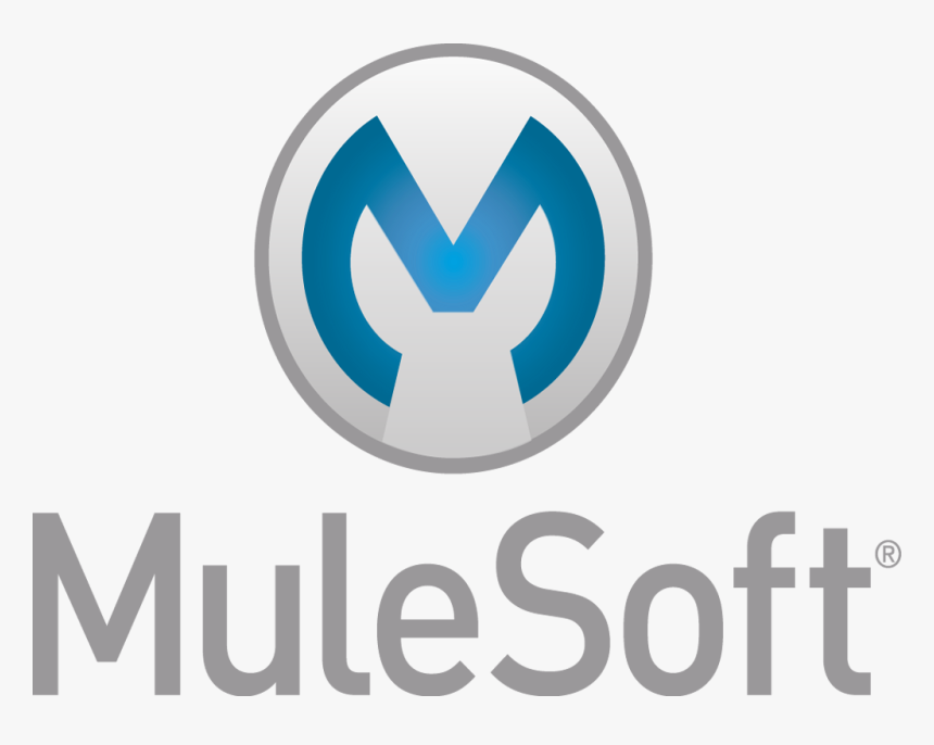 Best Practices For Mule Project - Mulesoft, HD Png Download, Free Download