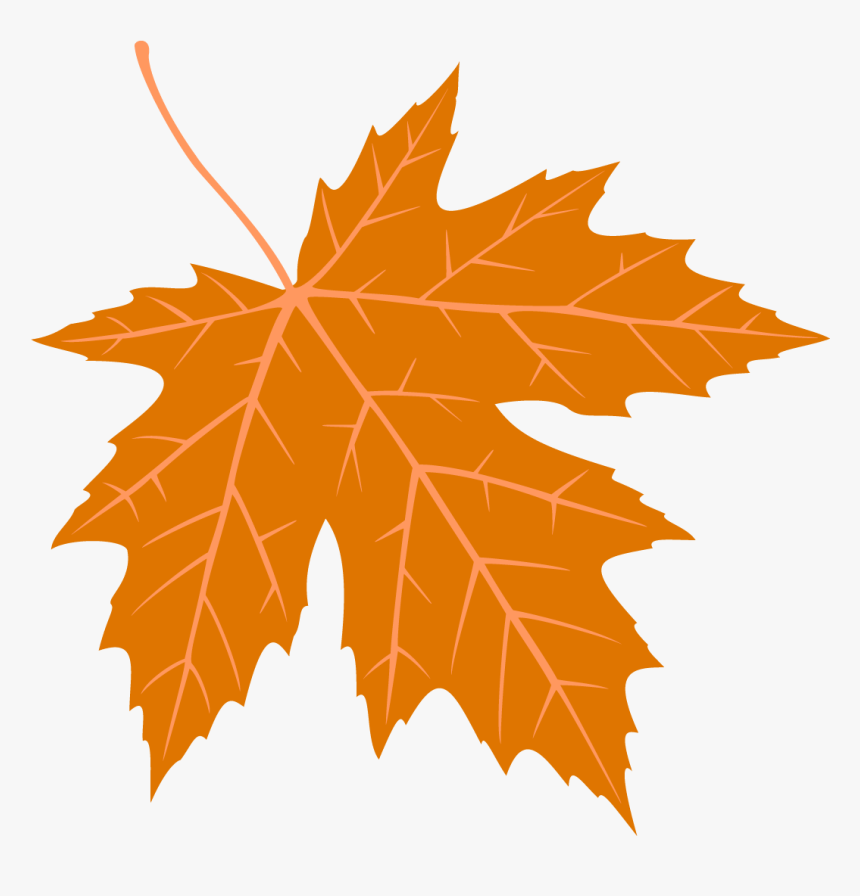 Maple Leaf, HD Png Download, Free Download