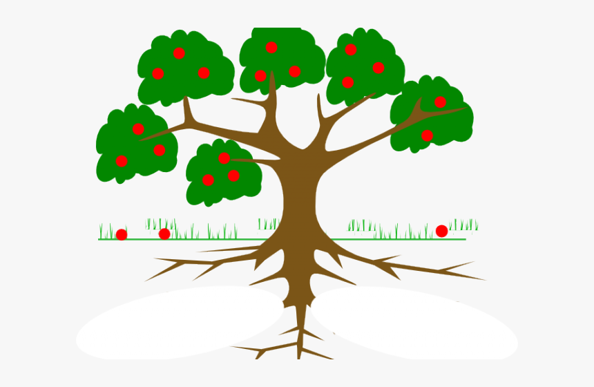 Transparent Texas Clipart Png - Apple Tree With Roots, Png Download, Free Download