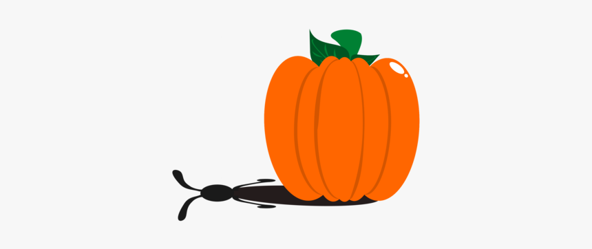 Plant,vegetarian Food,leaf - Small Pumpkin Clip Art Free, HD Png Download, Free Download