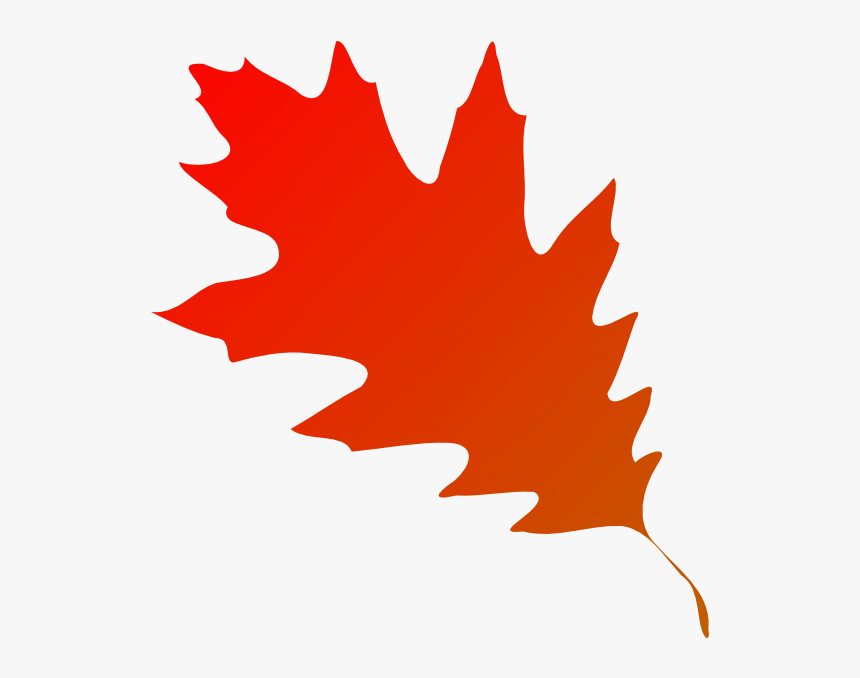 Apple, Pumpkin And Grape On Autumn Leaf Royalty - Silhouette Of Oak Leaf, HD Png Download, Free Download