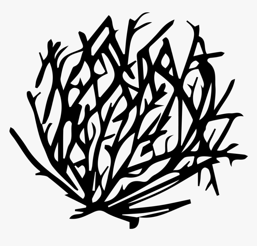 Tumbleweed Png, Transparent Png, Free Download