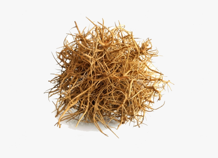 Tumbleweed On White Background , Png Download - Transparent Background Tumbleweed Transparent, Png Download, Free Download