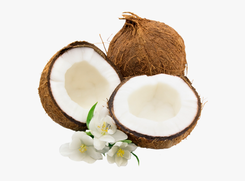 Noix De Coco Png, Tube - Transparent Coconut Png, Png Download, Free Download