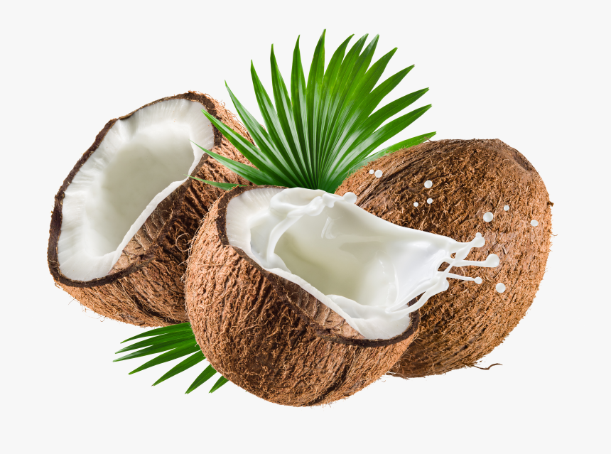 Coconut Oil De Water Coco Nata Milk Clipart, HD Png Download, Free Download