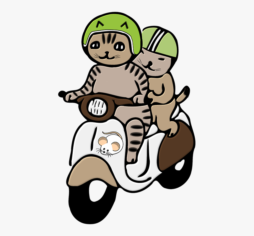 Cats, Helmet, Png, Scooter, Motorcycle, Headlights - Motorcycle, Transparent Png, Free Download