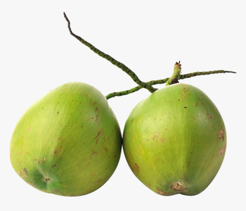 Agua De Coco Png , Png Download - Coco De Agua Png, Transparent Png, Free Download