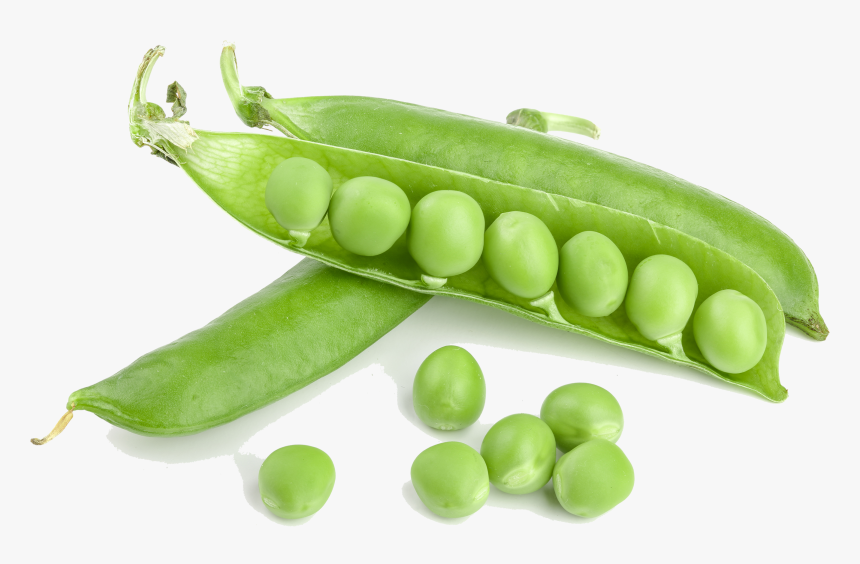 Green Beans Png, Transparent Png, Free Download