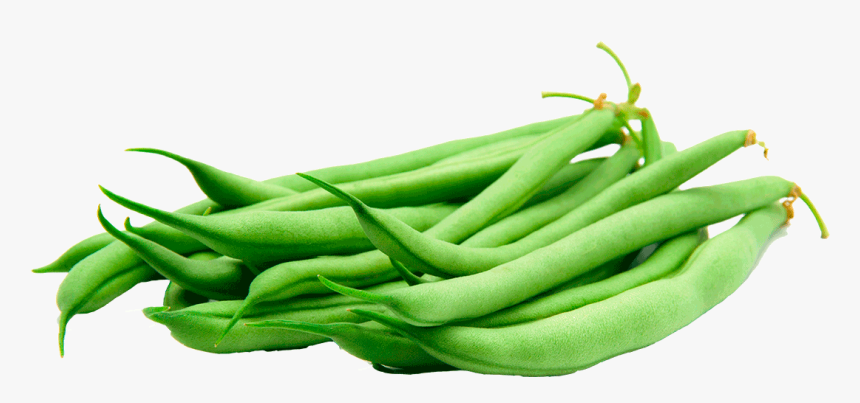 Green Beans Transparent - Green Beans Transparent Background, HD Png Download, Free Download