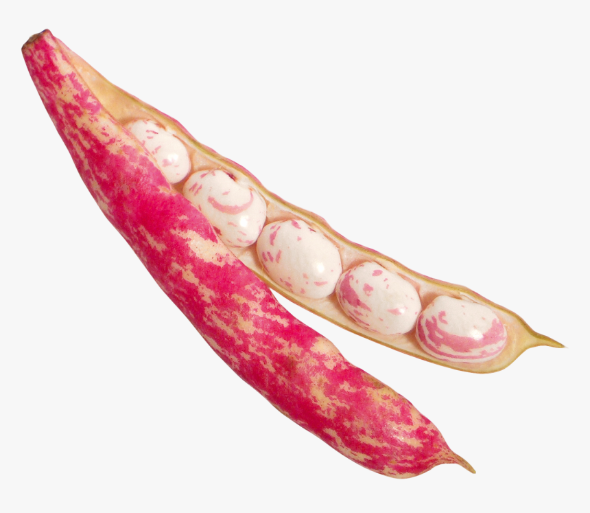 Vegetable Cutter Png Transparent Image - Png Beans, Png Download, Free Download