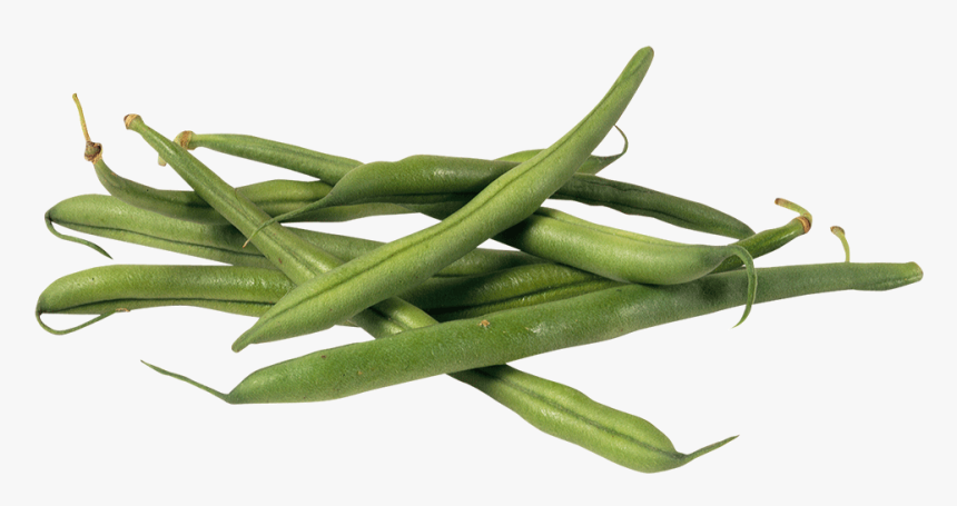 French Beans Square - Green Bean, HD Png Download, Free Download