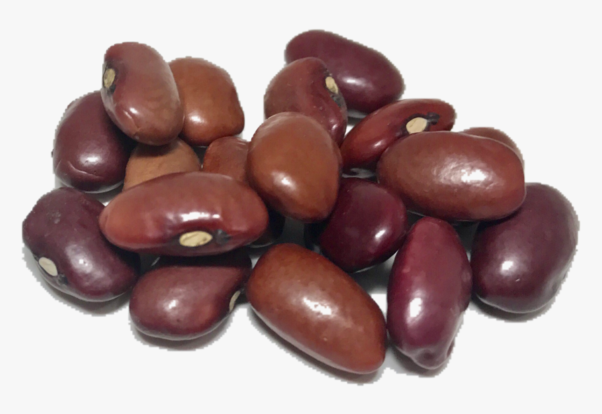 Dry Beans Png Transparent - Single Kidney Bean Transparent Background, Png Download, Free Download