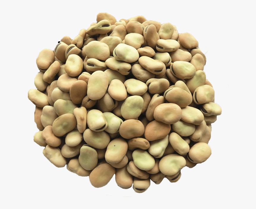 Transparent Pinto Bean Clipart - Fava Beans Png, Png Download, Free Download