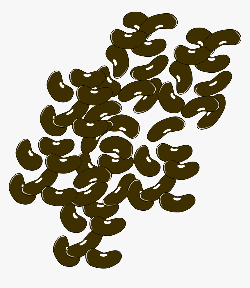 Brown Beans Clip Arts - Beans Clipart Png, Transparent Png, Free Download