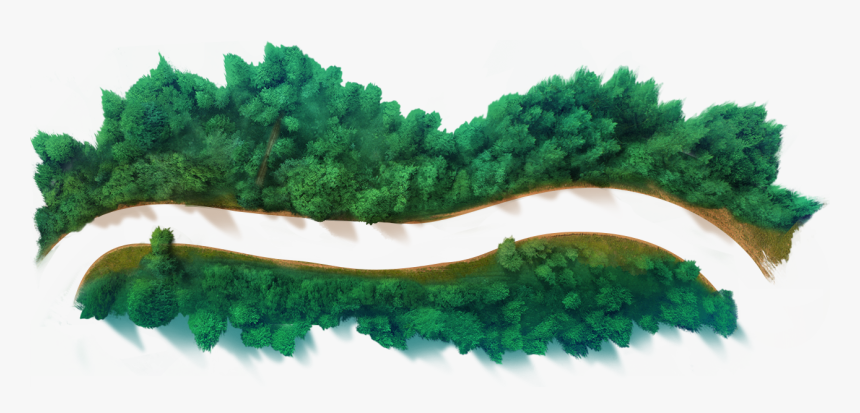 Forest Path Front - Forest In Front Of Png, Transparent Png, Free Download