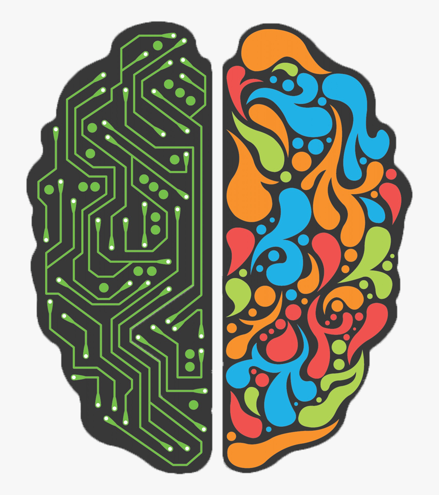 Left And Right Brain Png, Transparent Png, Free Download