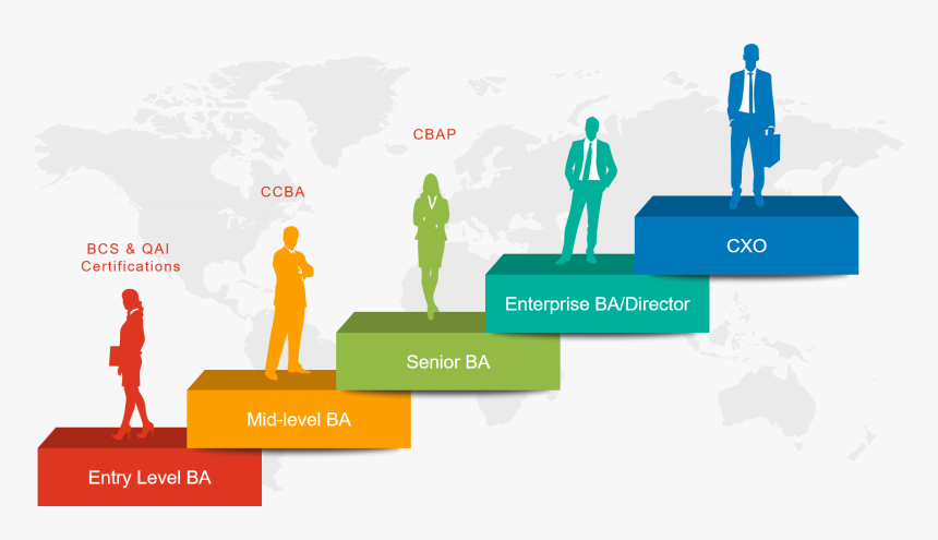 Download Analyst Png Image For Designing Projects - Career Path In A Company, Transparent Png, Free Download