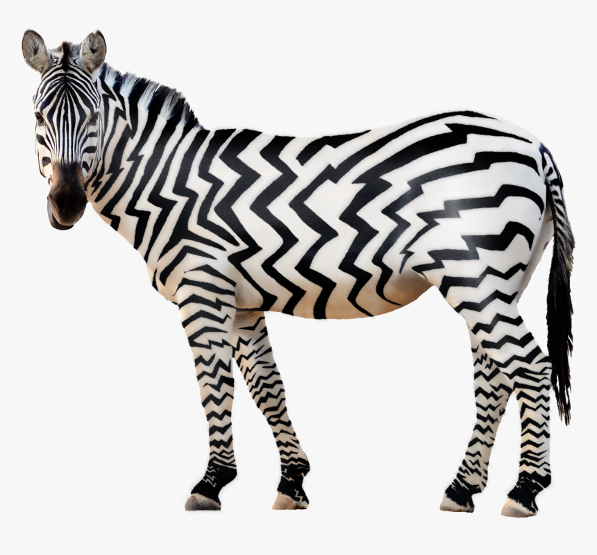 Zebra Png Free Download - Animals All Png, Transparent Png, Free Download