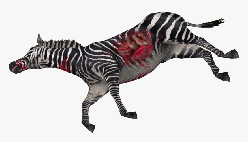 Zebra Png High-quality Image - Dead Zebra Png, Transparent Png, Free Download