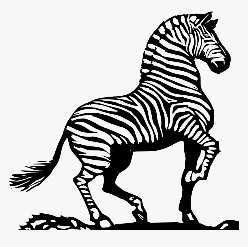 Black And White Clipart Of Zebra, HD Png Download, Free Download