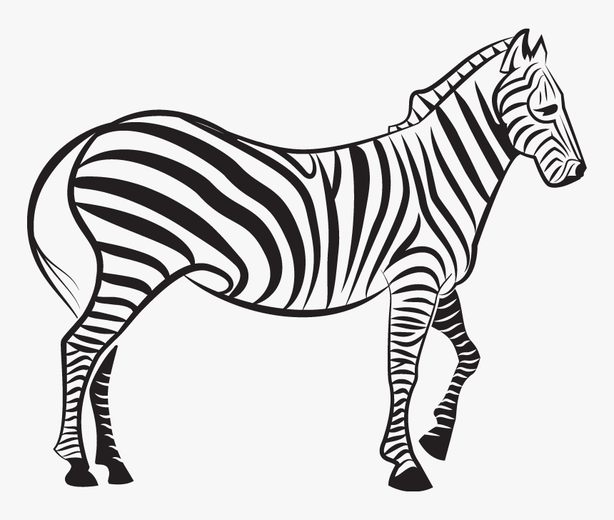 Zebra Euclidean Vector Illustration - Vector Zebra, HD Png Download, Free Download
