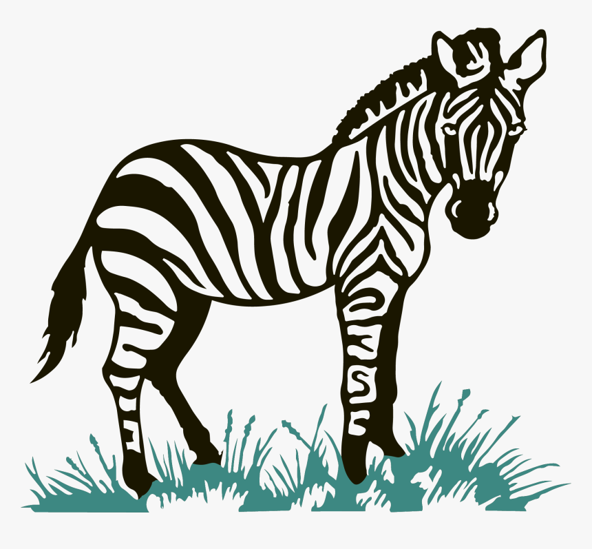 Valerie Wheelock, Md - Zebra Cartoon Png, Transparent Png, Free Download