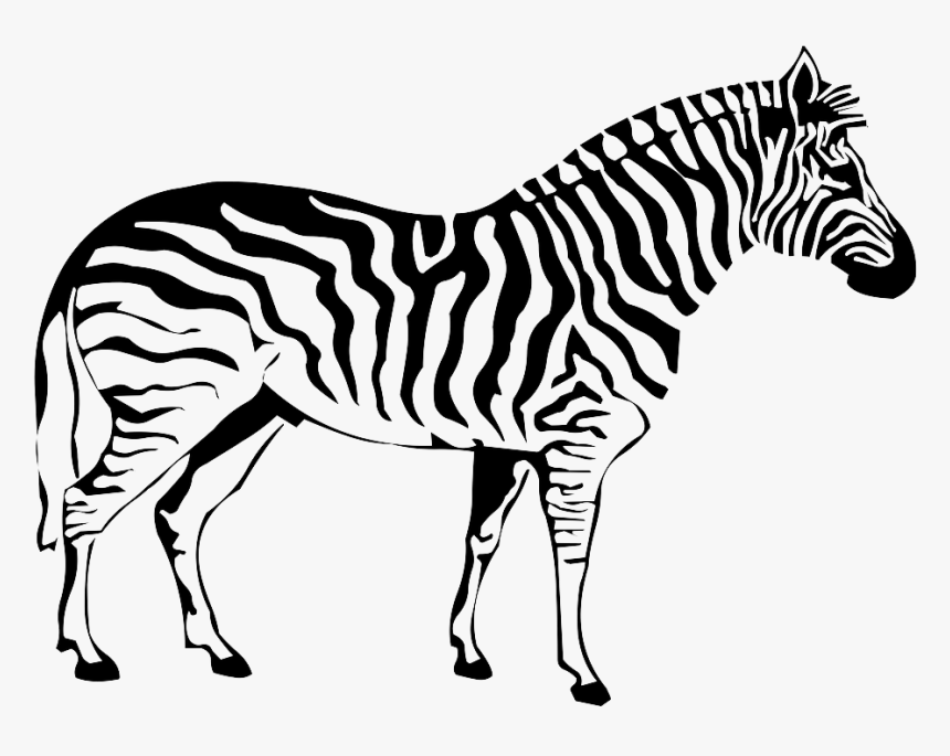 Zebra Png Image - Codigo De Barras Zebra, Transparent Png, Free Download