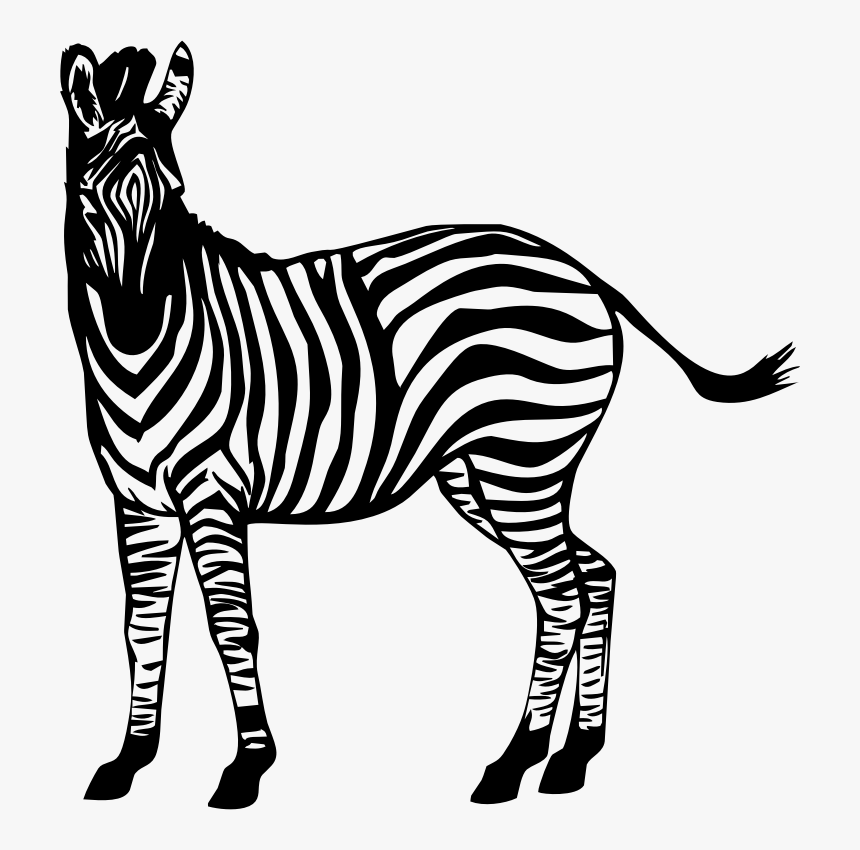 Zebra Illustration - Zebra In Clipart, HD Png Download, Free Download