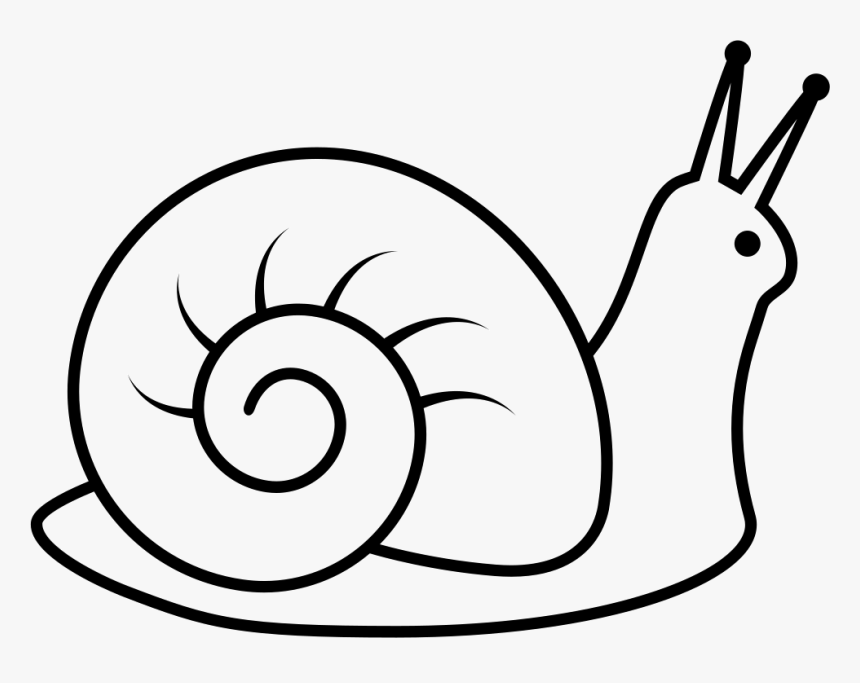 Snail - Snail Clipart Black And White, HD Png Download, Free Download