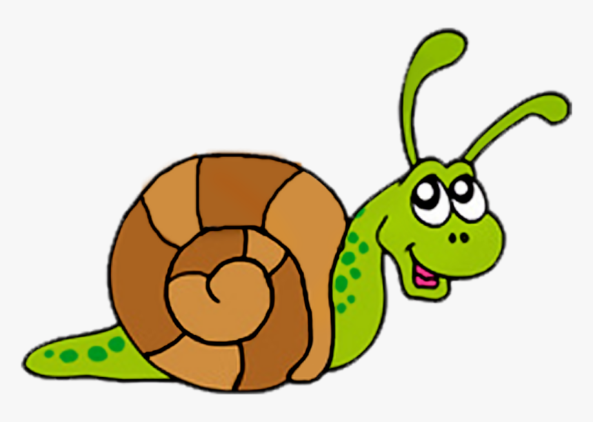 Snail Images Free Download Clipart - Snail Clipart, HD Png Download, Free Download