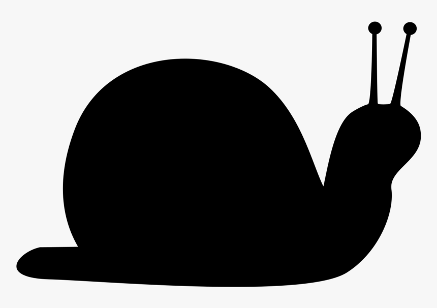 Snail Silhouette Png, Transparent Png, Free Download