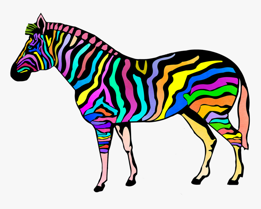 Coloring Page Zebra Animals Printable, HD Png Download, Free Download