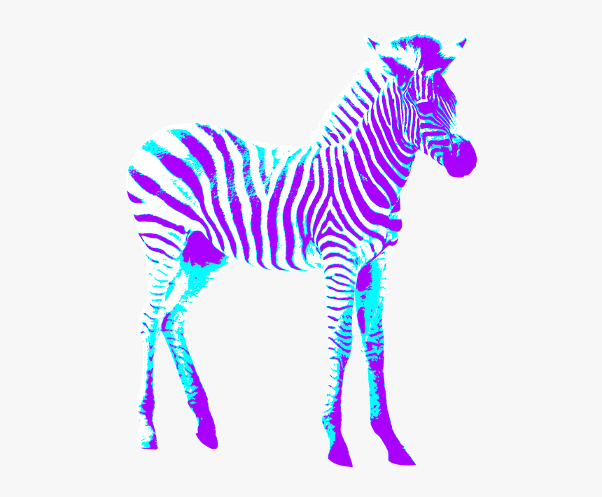 Zebra, Colorful, Art, Creative, Purple, Blue, Crosswalk - Zebra Invitacion De Cumpeaños, HD Png Download, Free Download