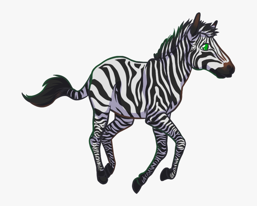 Zebra , Png Download - Zebra, Transparent Png, Free Download