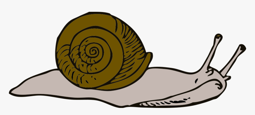 Snail Clip Art - Slow Snail Clipart, HD Png Download, Free Download
