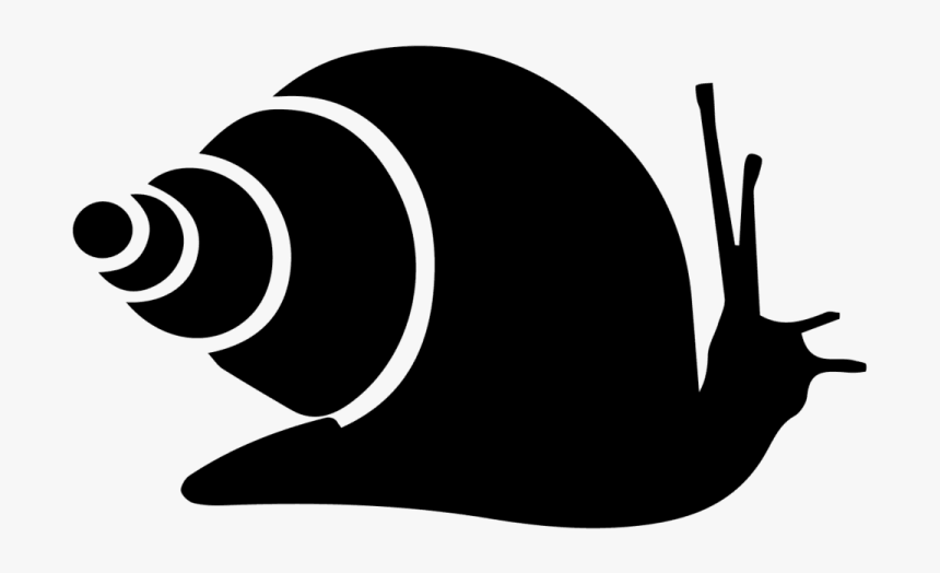 Snail Icon Png, Transparent Png, Free Download