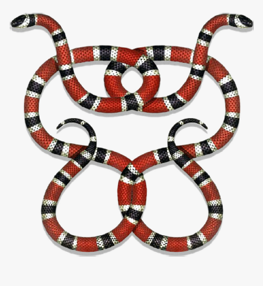 Snake back. Аспид гуччи. Змея Аспид гуччи. Коралловый Аспид гуччи. Гуччи гуччи змея.