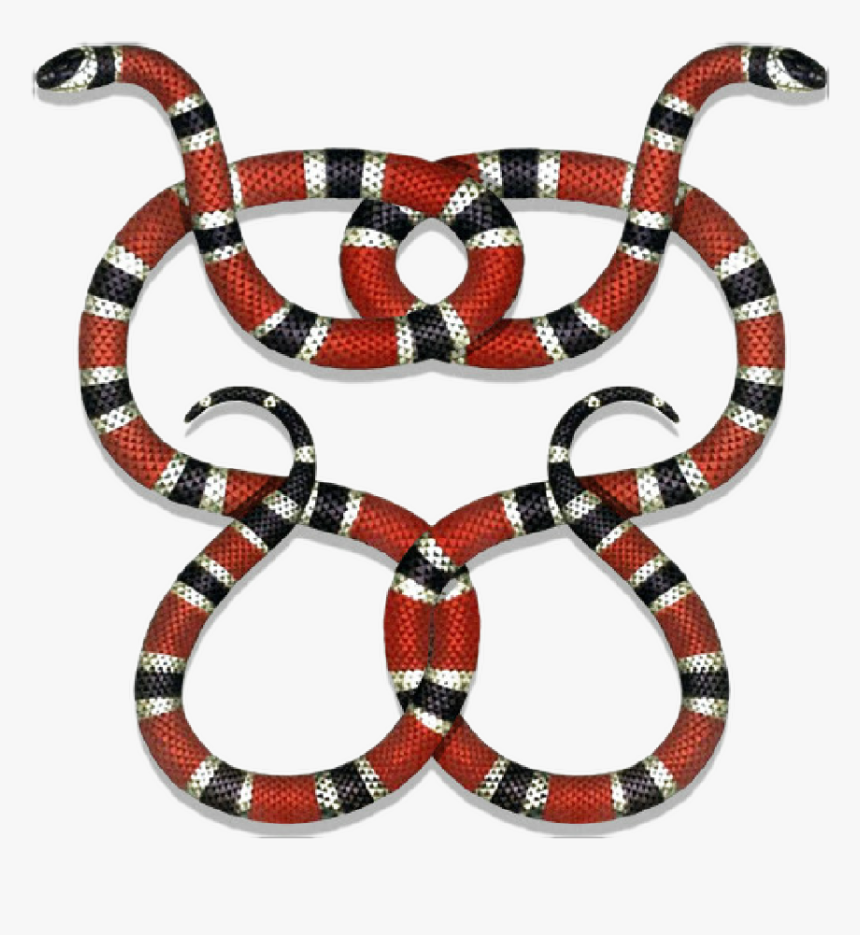 #gucci #guccigang #snakes #guccilogo #logo #sticker#png - Coral Snake Illustration, Transparent Png, Free Download