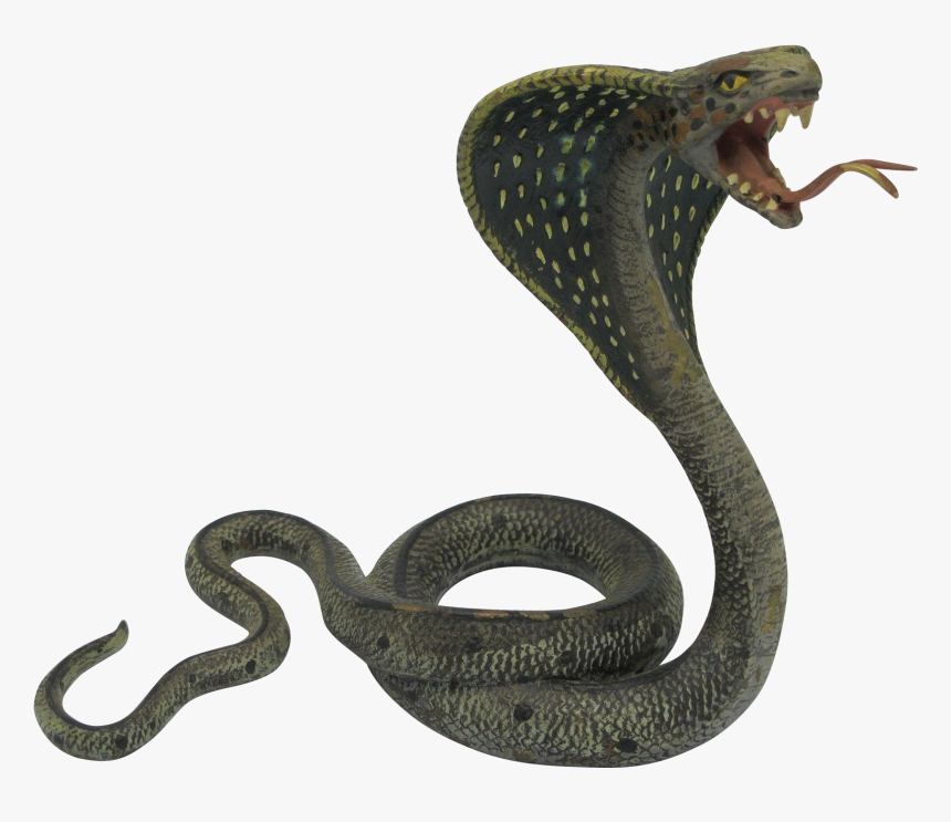 Cobra Snake Png - Black Mamba King Cobra Snakes, Transparent Png, Free Download