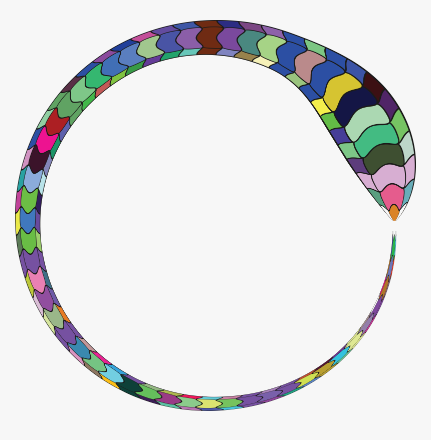 Free Clipart Of A Colorful Snake Forming A Round Frame - Snake Circle Clip Art, HD Png Download, Free Download