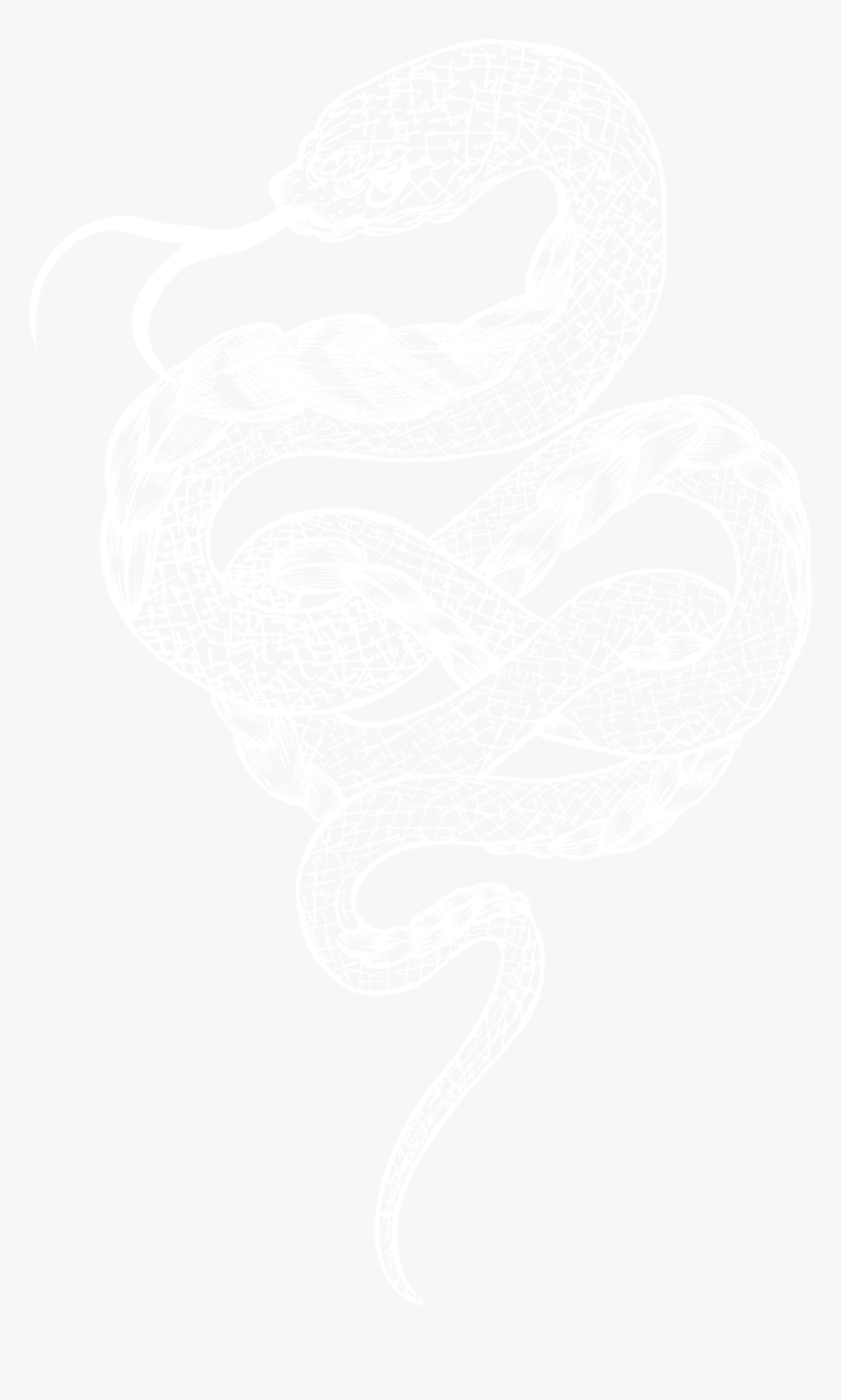 #pngs#snake Png - Rattlesnake, Transparent Png, Free Download