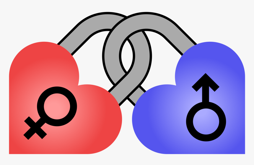 Male And Female Symbols - Transparent Heart Male Female, HD Png Download, Free Download