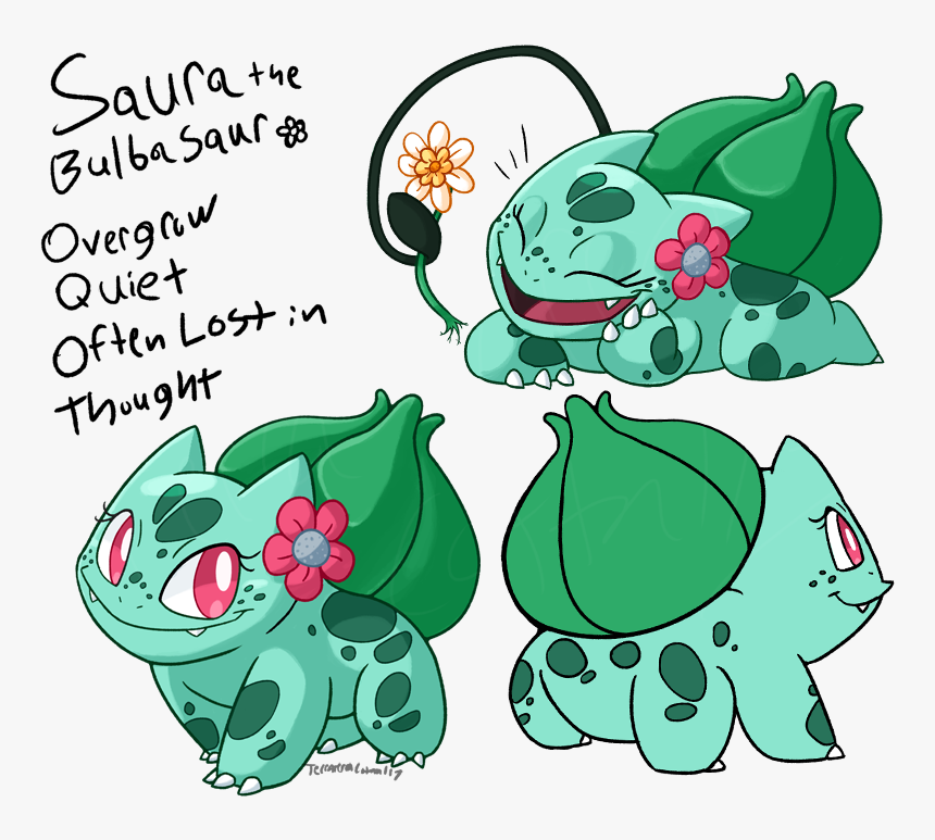 Transparent Bulbasaur Png - Pokemon Oc Reference Sheet, Png Download, Free Download