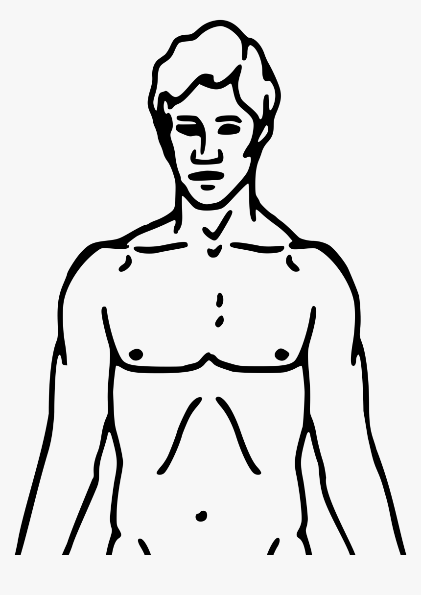 Pioneer Plaque Man Upper Body As Diagram Template - Body Chest Clipart, HD Png Download, Free Download